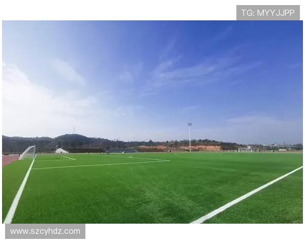 新疆伊宁青年斥资建FIFA足球场
